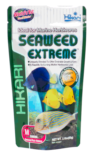 Hikari Marine Seaweed Extreme Small Sinking Wafers Medium Pellet