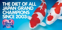 Hikari Breeder Preferred Professional Pond Diets - The Diet Of All-Japan Grand Champions Since 2003