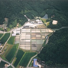The 10 acre Yamasaki Koi Farm The 10 acre Yamasaki Koi Farm