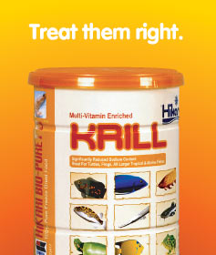 A Great Treat For Koi - Hikari Bio-Pure FD Freeze Dried Krill