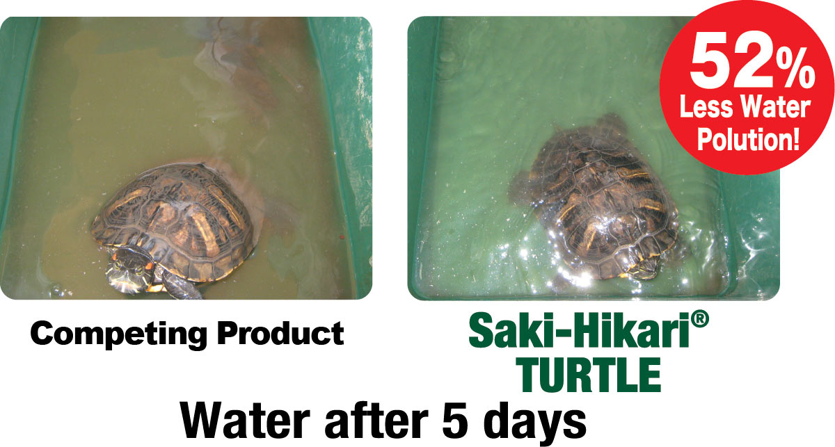 SakiHikari-TURTLE-infographic-cleanerwater Saki-Hikari Turtle