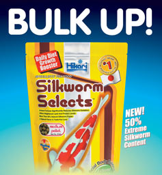 BULK UP! Silkworm Selects - NEW 50% Extreme Silkworm Content to grow that koi.