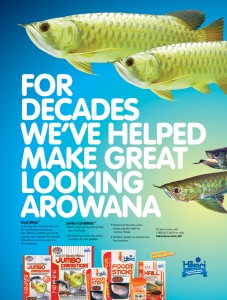 FOR DECADES WE'VE HELPED MAKE GREAT LOOKING AROWANA Tropical Food Sticks, Jumbo CarniSticks, Frozen Krill, FD Krill