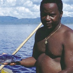 Copadichromis cyaneus we caught. April 1994, Malawi Copadichromis cyaneus we caught. April 1994, Malawi