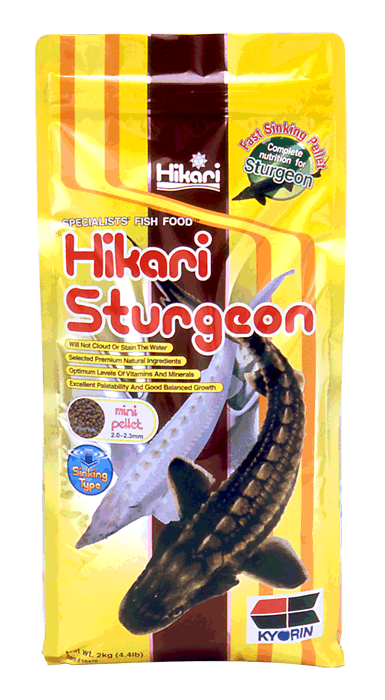 Hikari Sturgeon Hikari Sales Usa