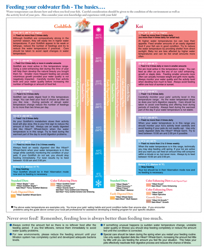 Goldfish Feeding Chart