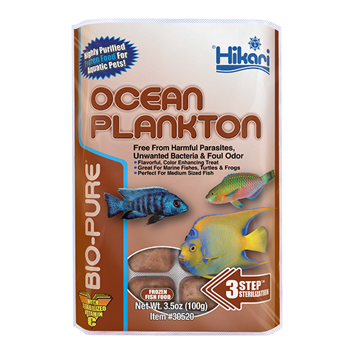 ocean plankton