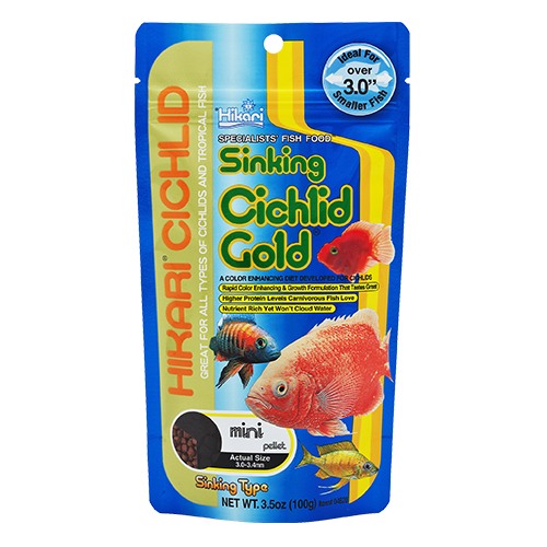 Sinking Cichlid Gold