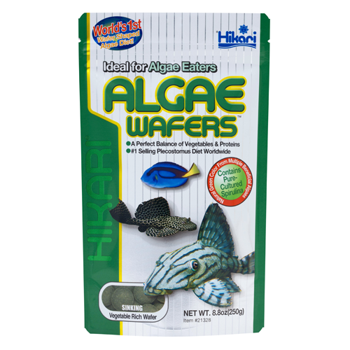 algae wafers