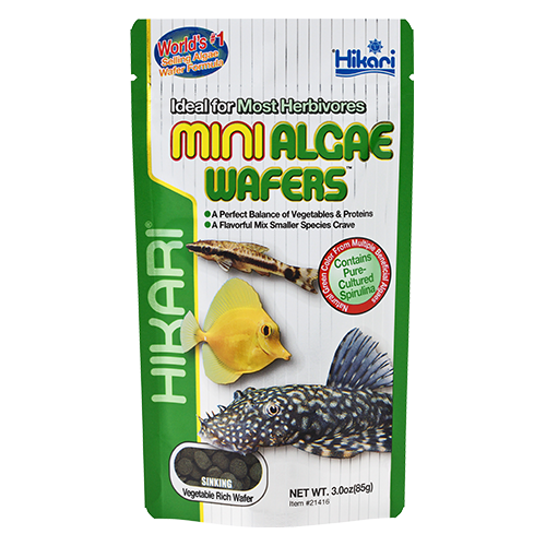 Mini Algae Wafers