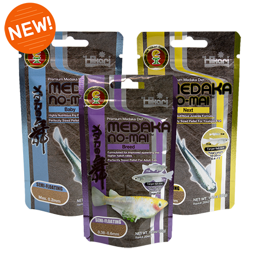 Hikari Medaka No-Mai