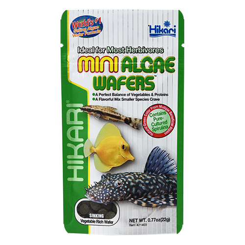 Mini Algae Wafers