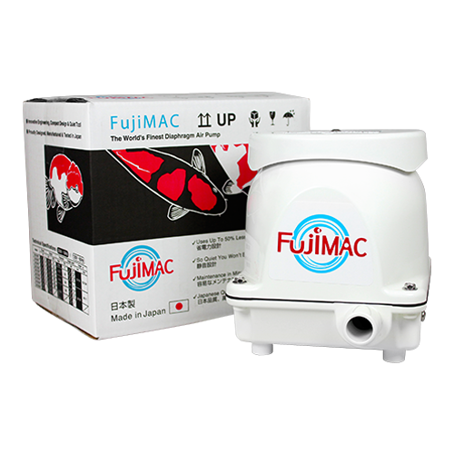 FujiMac With Box