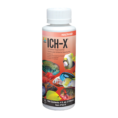 Ich-X