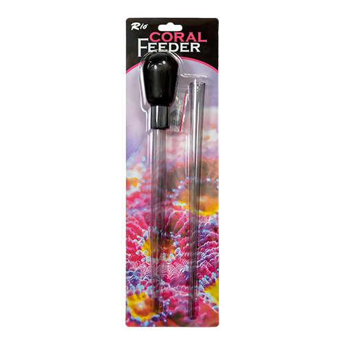 Rio® Coral Feeder