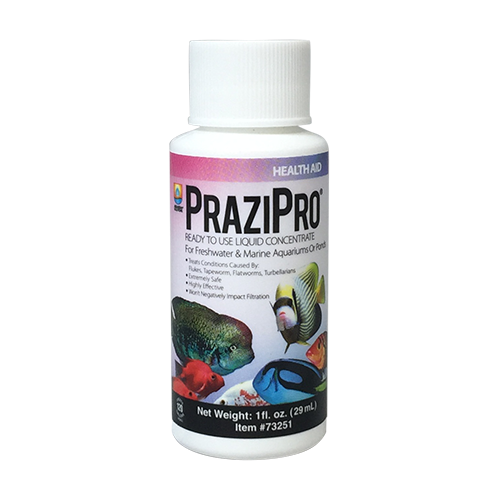 PraziPro