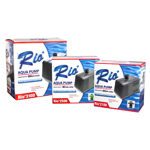 Rio Aqua Pump [3100, 2500. 2100]