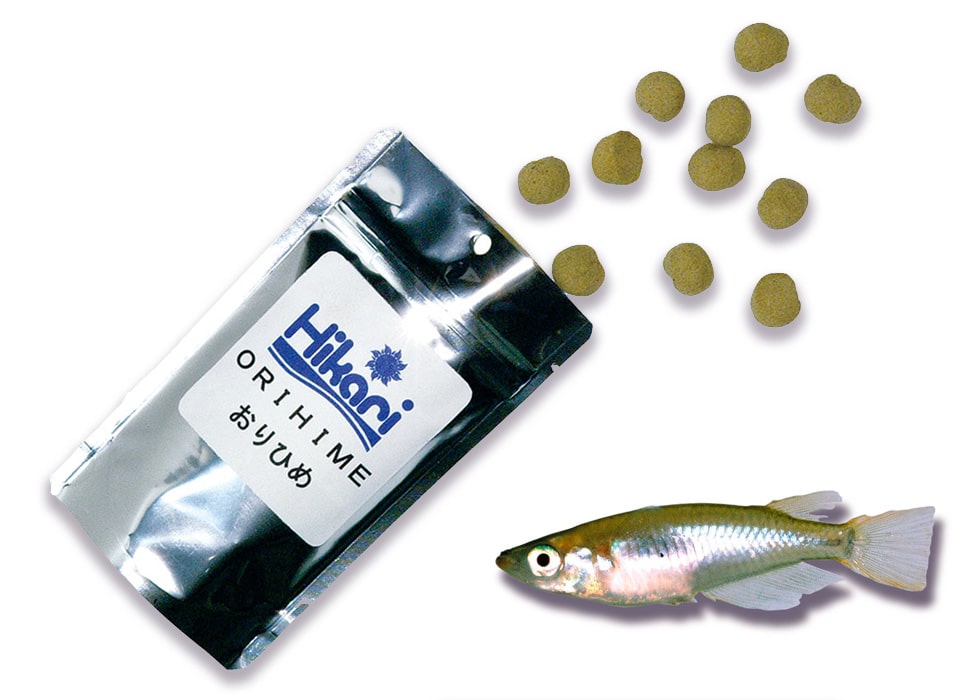 challenger killifish food