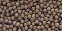 cichlid bio gold mini pellet