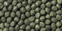 cichlid excel medium pellet