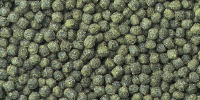 cichlid excel mini pellet