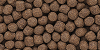 Medium Pellet Insectilicious