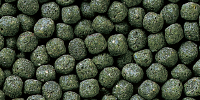 cichlid staple medium pellet