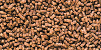 Saki-Hikari fancy goldfish pellet