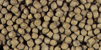 hikari economy medium pellet