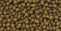 lionhead gold mini pellet