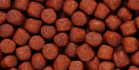 blood red parrot medium pellet