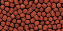 blood red parrot mini pellet