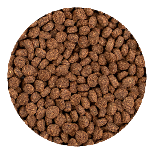 Pellets Gallery Image