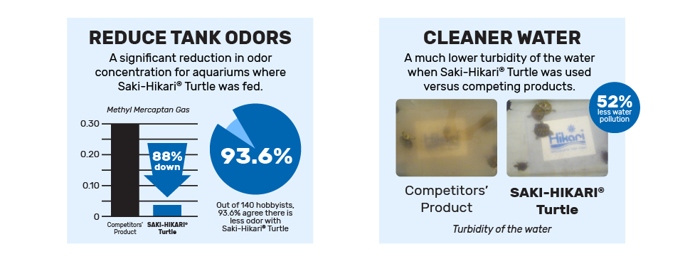 turtle graphs