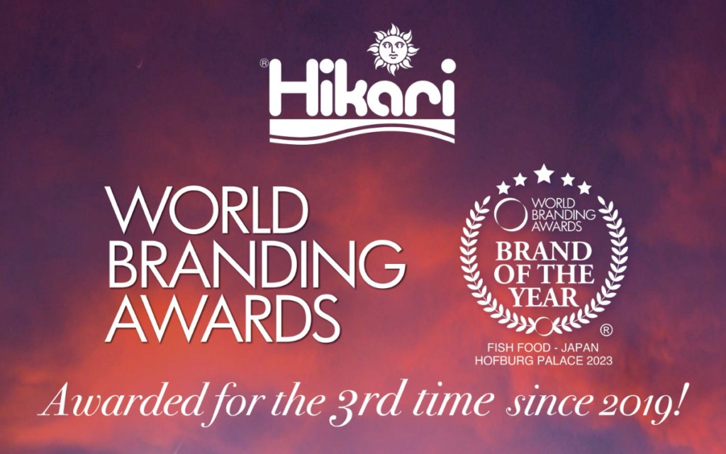 World Branding Award